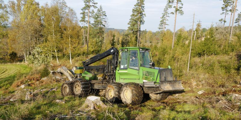 Forestry Clearing in Utah County, UT