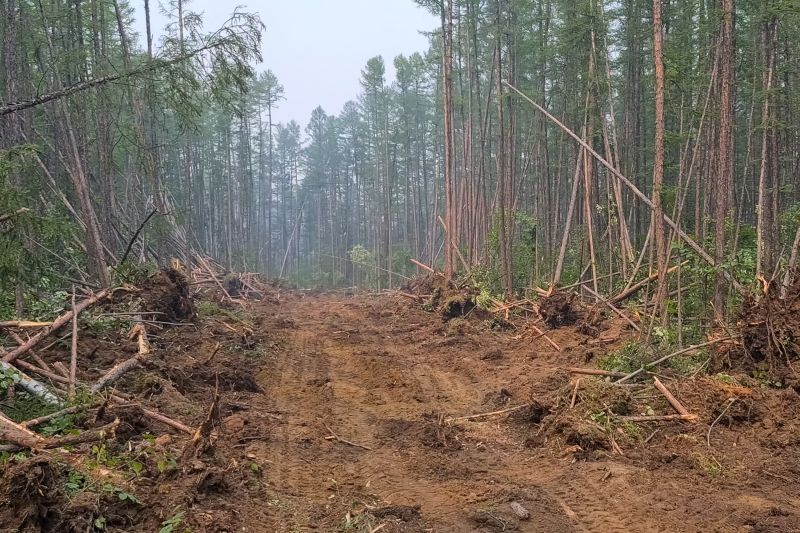 Land Clearing in Houston, TX