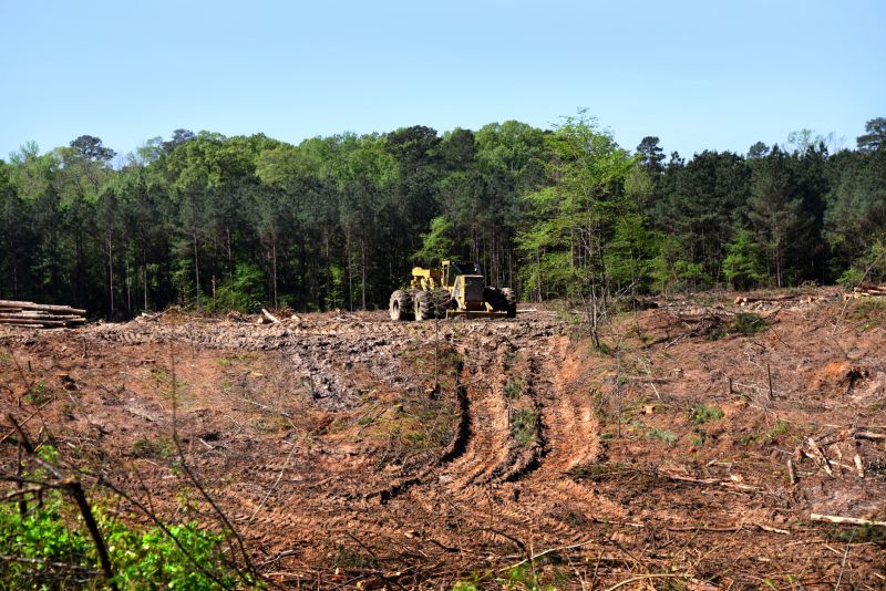 Land Clearing in Cumming, GA