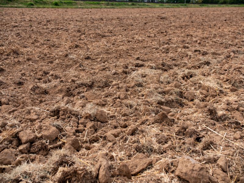 Soil Testing and Grading