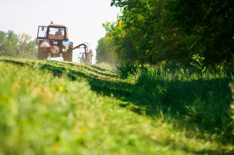 Pasture Clearing in Utah County, UT