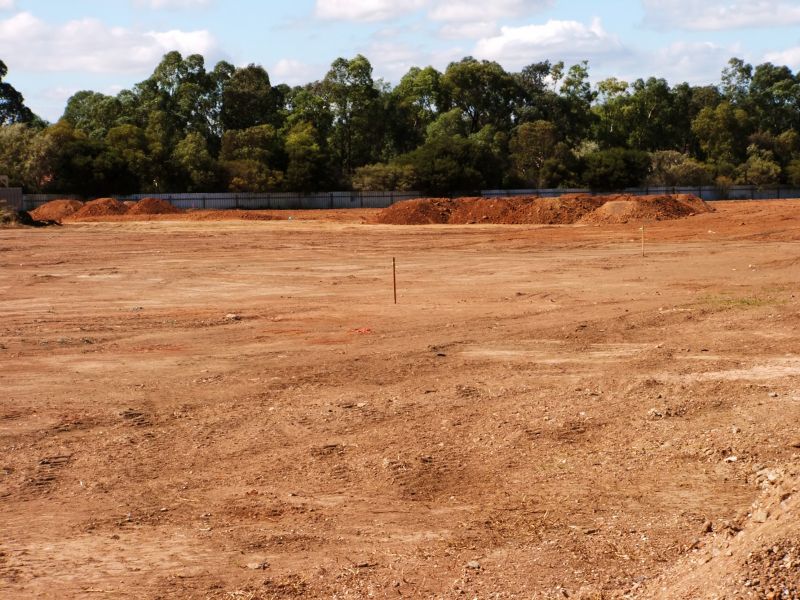 Pool Land Clearing in Gwinnett County, GA