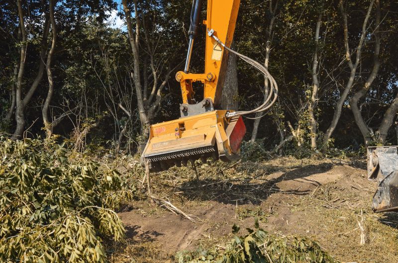 Underbrush Clearing in Gwinnett County, GA