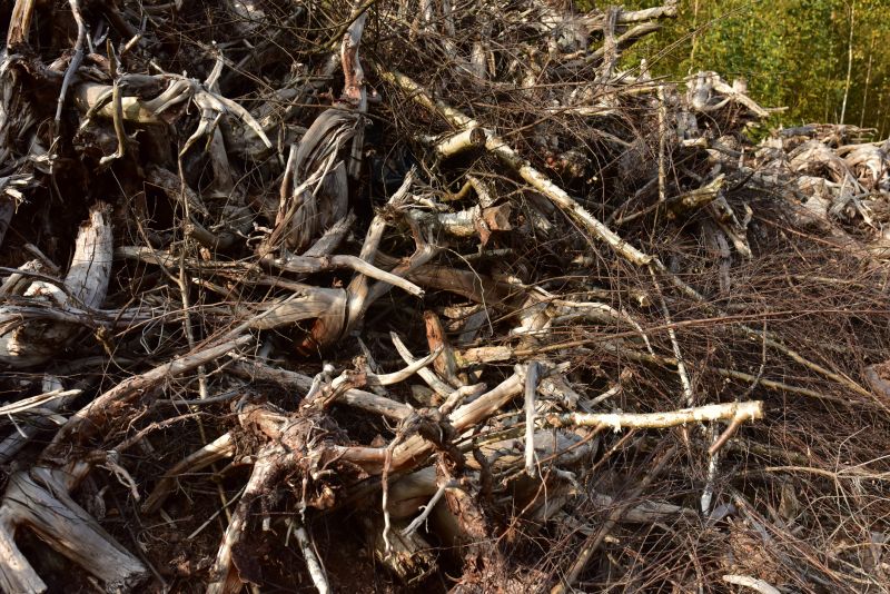 Undergrowth Removal in Utah County, UT